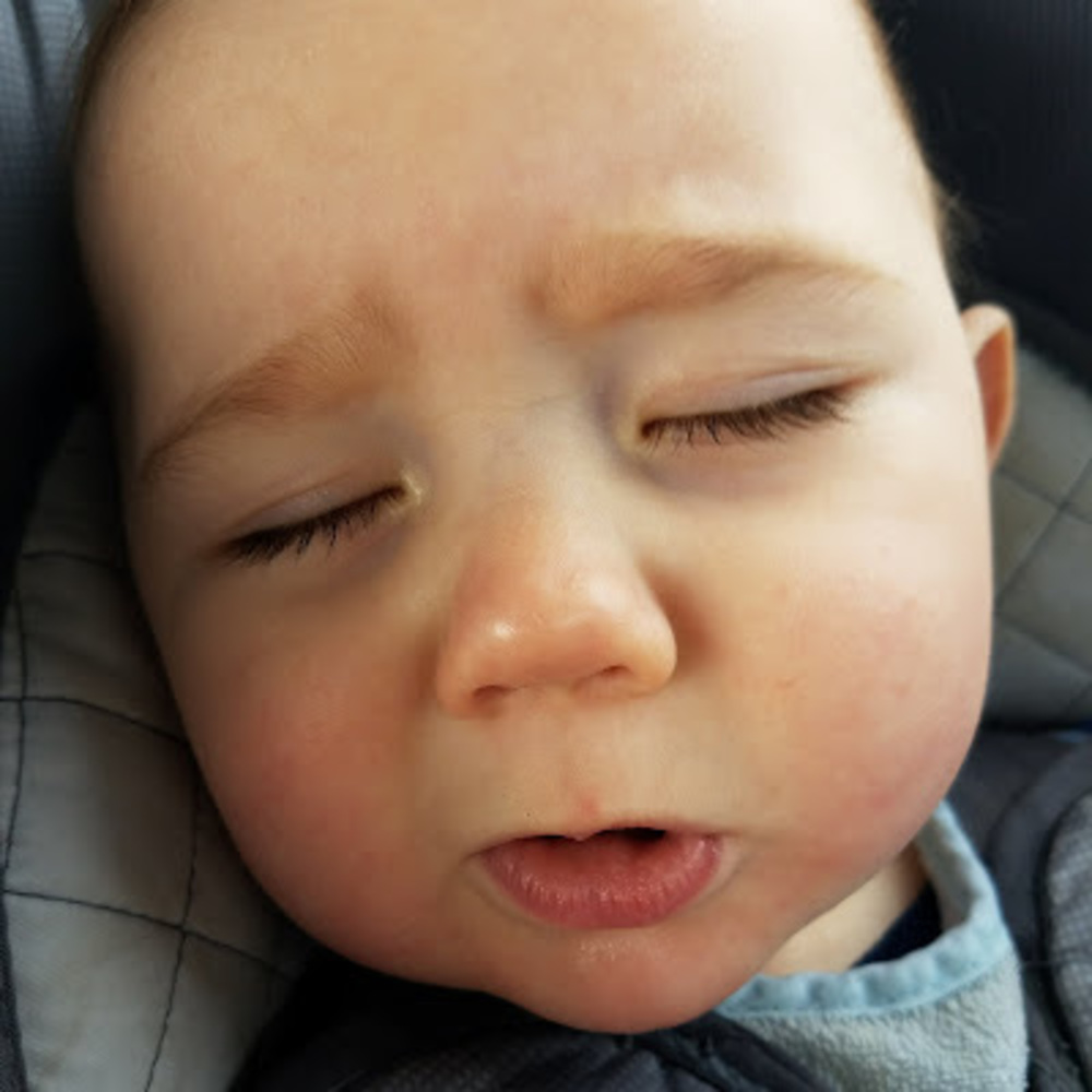 Meet your Posher, Max